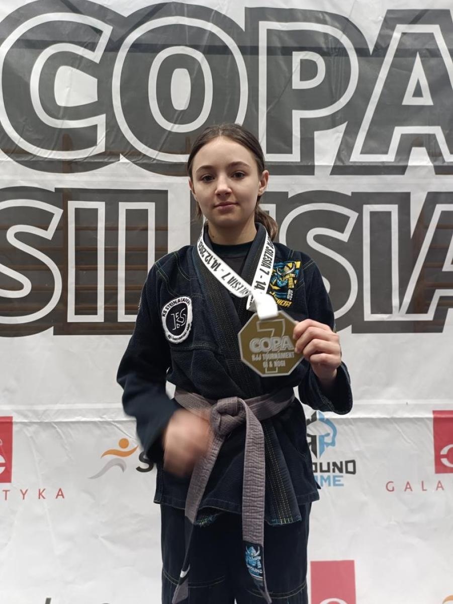 Zdjęcie w galerii na portalu naszwodzislaw.com: Kolejne medale zawodników KS Stein Academy wiadomości z regionu