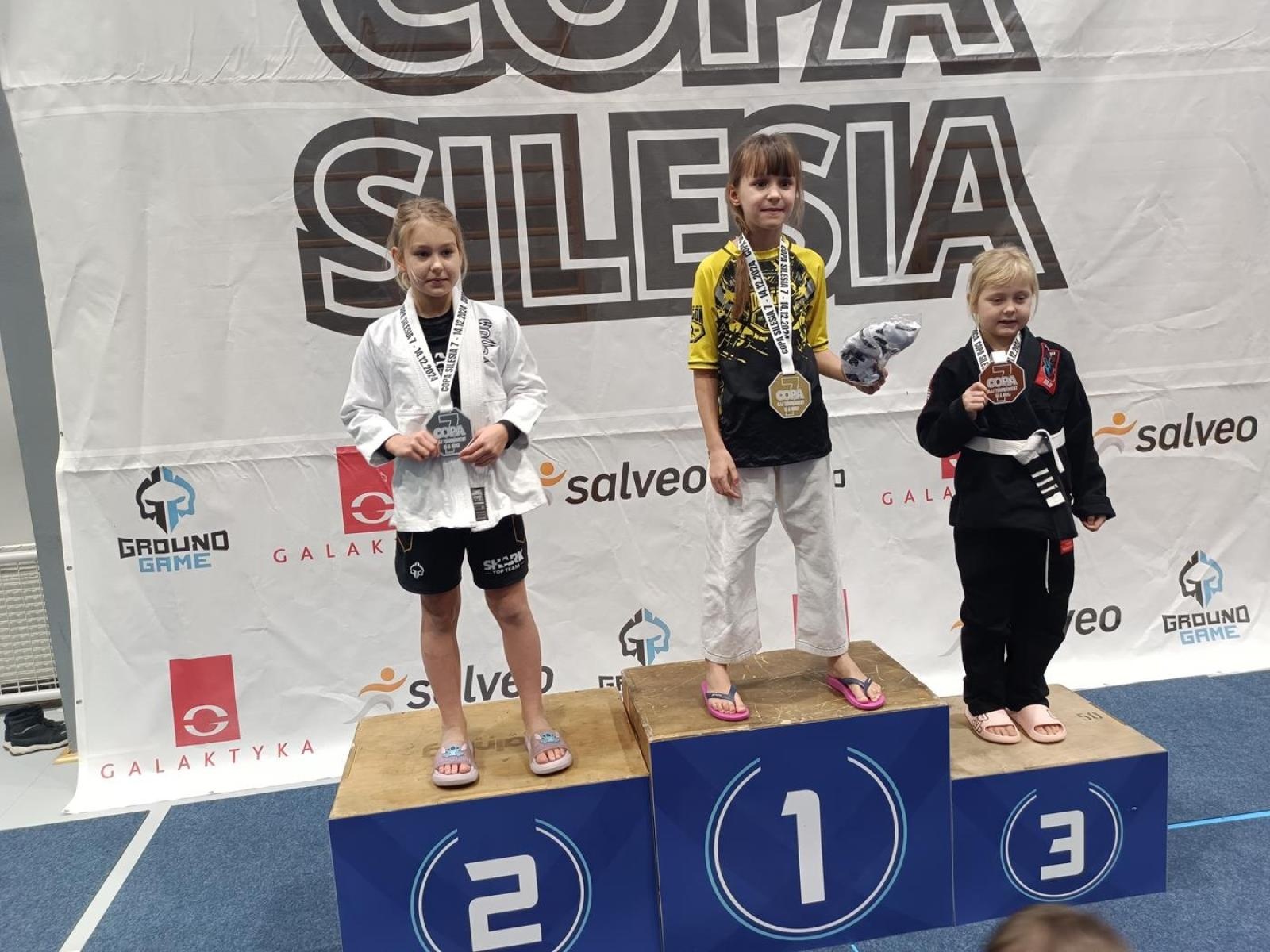 Zdjęcie w galerii na portalu naszwodzislaw.com: Kolejne medale zawodników KS Stein Academy wiadomości z regionu