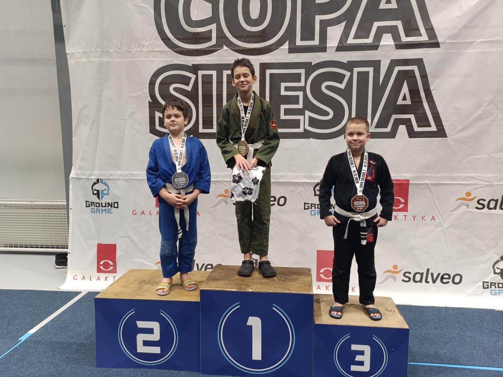 Zdjęcie w galerii na portalu naszwodzislaw.com: Kolejne medale zawodników KS Stein Academy wiadomości z regionu