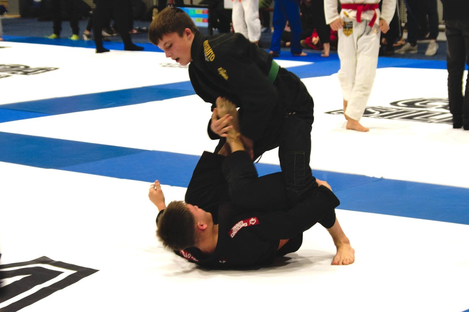 Zdjęcie w galerii na portalu naszwodzislaw.com: Copa Silesia 2024. Sukcesy młodych zawodników Octagon Team Junior wiadomości z regionu