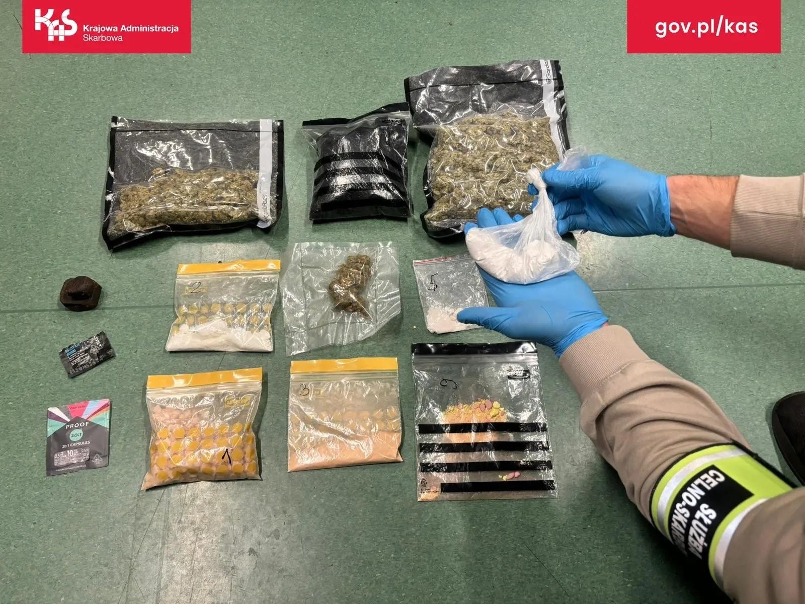 Zdjęcie w galerii na portalu naszwodzislaw.com: KAS kontroluje przesyłki pocztowe. W jednej z nich pies Kodi znalazł marihuanę wiadomości z regionu