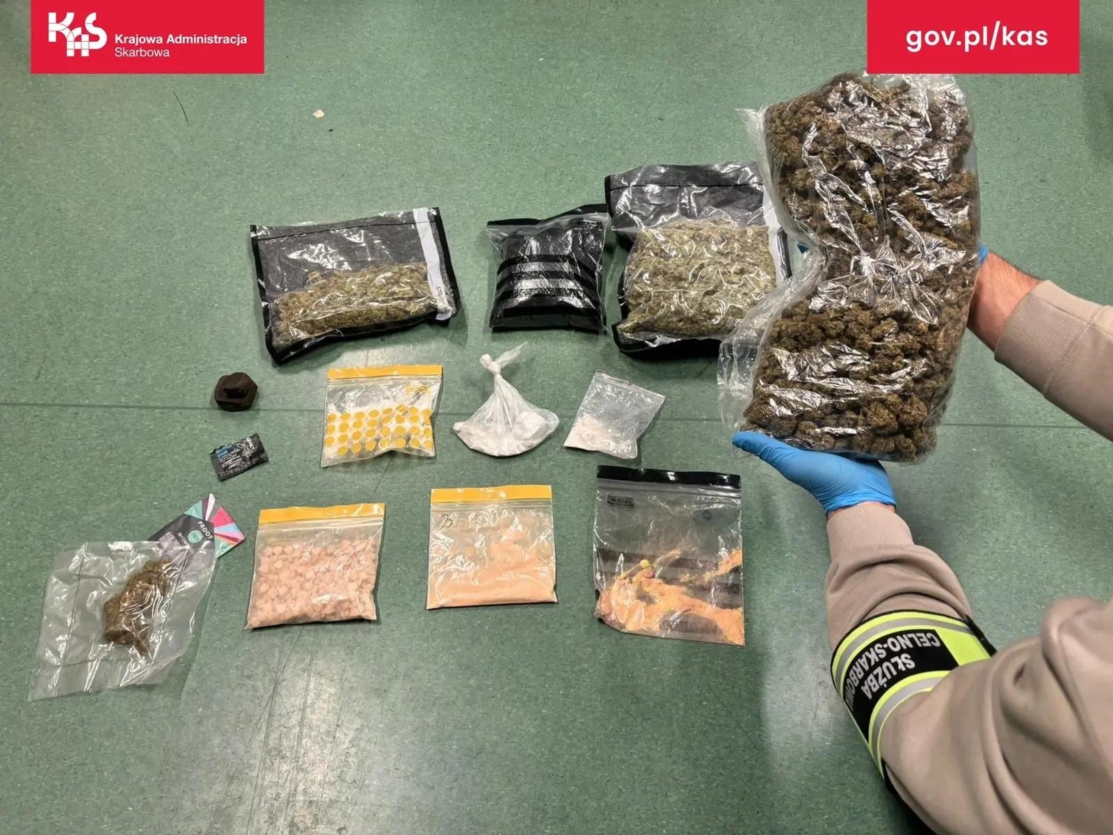 Zdjęcie w galerii na portalu naszwodzislaw.com: KAS kontroluje przesyłki pocztowe. W jednej z nich pies Kodi znalazł marihuanę wiadomości z regionu