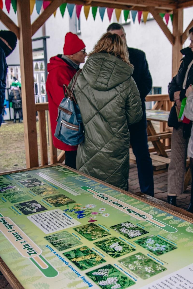 Zdjęcie w galerii na portalu naszwodzislaw.com: Ekopracownia pod chmurką w SP 15 otwarta [FOTO] wiadomości z regionu