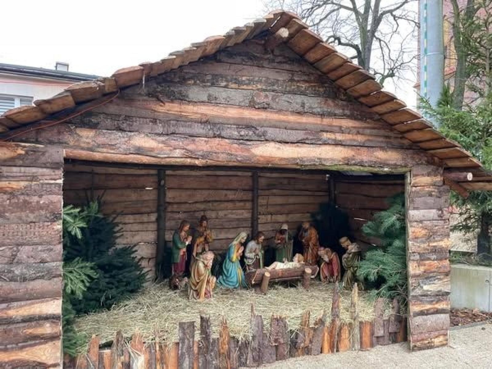 Zdjęcie w galerii na portalu naszwodzislaw.com: Odwiedź Lucynkę i Svena. Żywa stajenka w Wodzisławiu Śląskim wiadomości z regionu