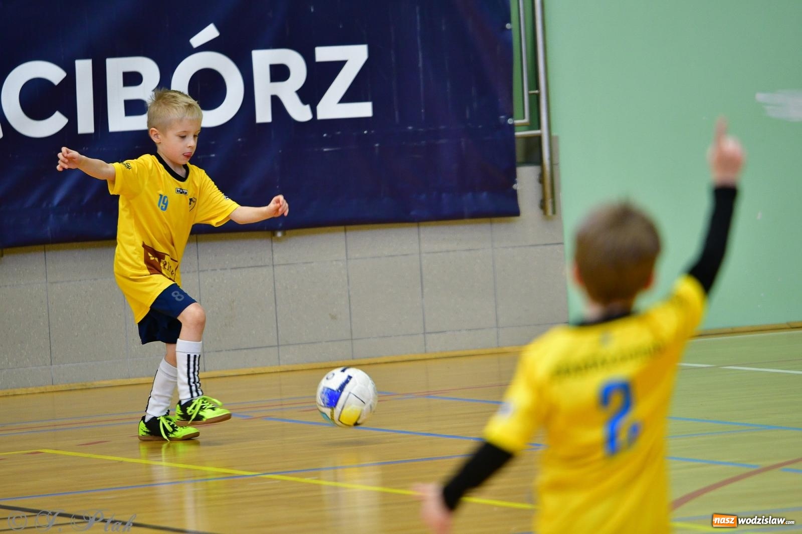 Zdjęcie w galerii na portalu naszwodzislaw.com: Junior Futsal Cup. Zmagania skrzatów z regionu w Raciborzu [FOTO] wiadomości z regionu