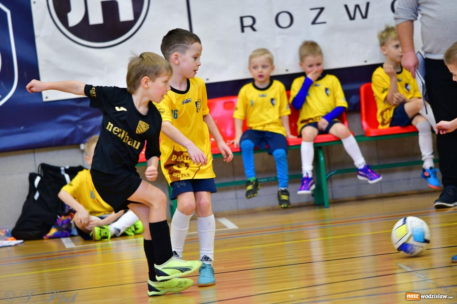 Zdjęcie w galerii na portalu naszwodzislaw.com: Junior Futsal Cup. Zmagania skrzatów z regionu w Raciborzu [FOTO] wiadomości z regionu