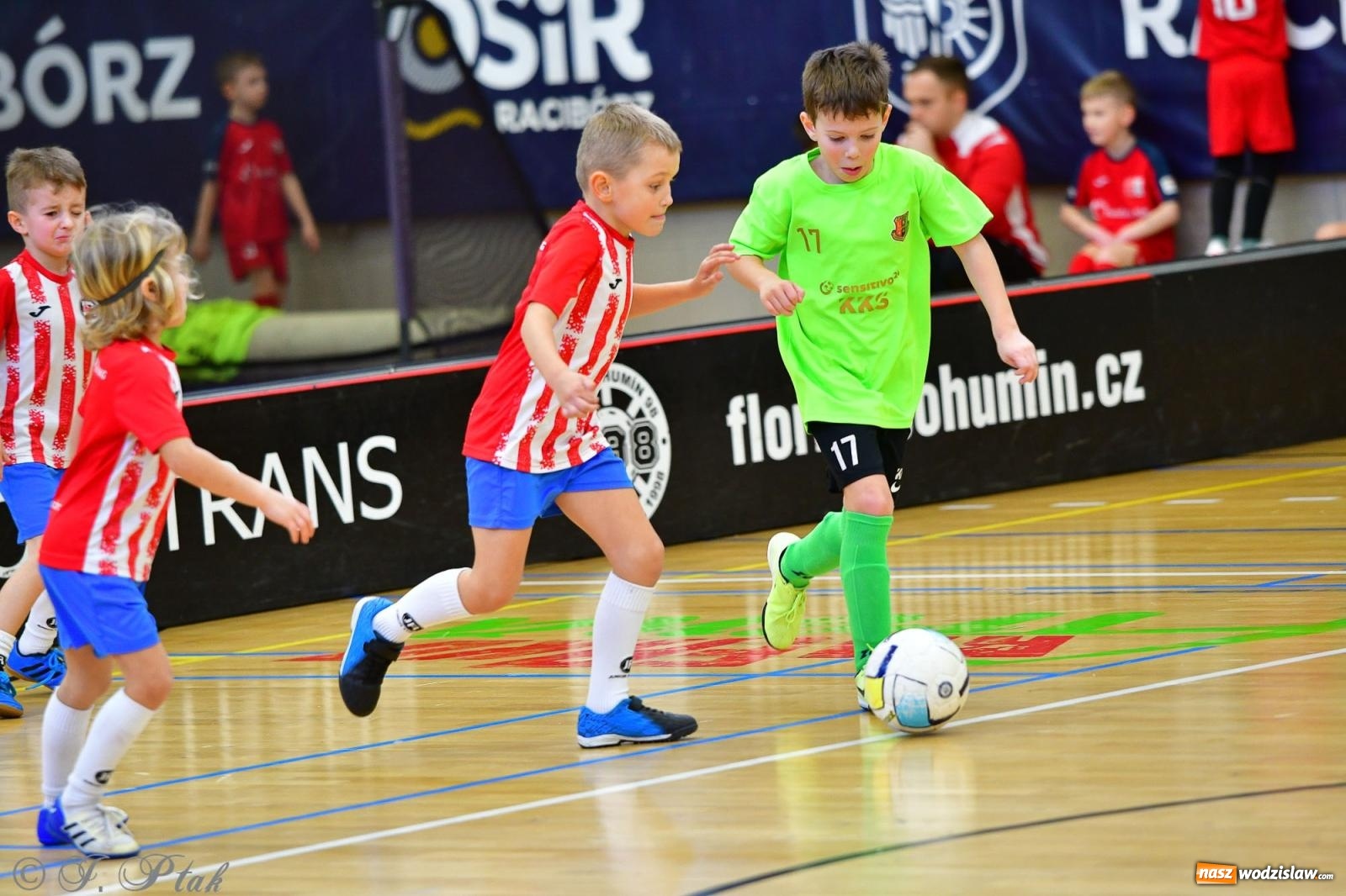 Zdjęcie w galerii na portalu naszwodzislaw.com: Junior Futsal Cup. Zmagania skrzatów z regionu w Raciborzu [FOTO] wiadomości z regionu