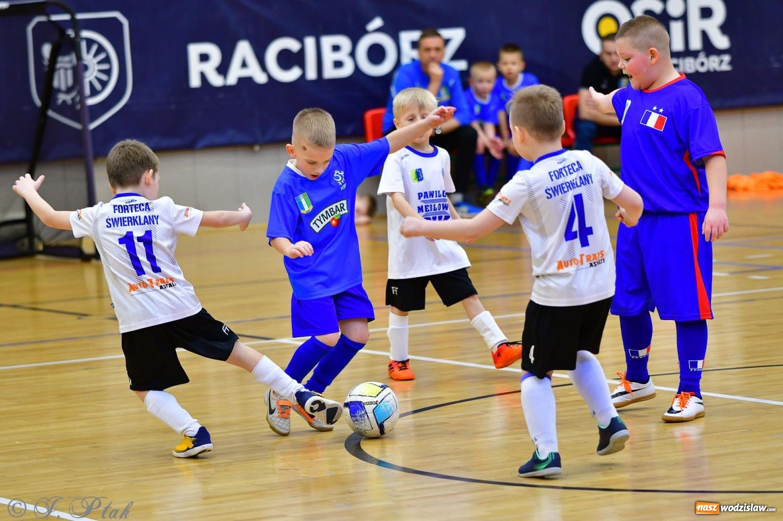 Zdjęcie w galerii na portalu naszwodzislaw.com: Junior Futsal Cup. Zmagania skrzatów z regionu w Raciborzu [FOTO] wiadomości z regionu