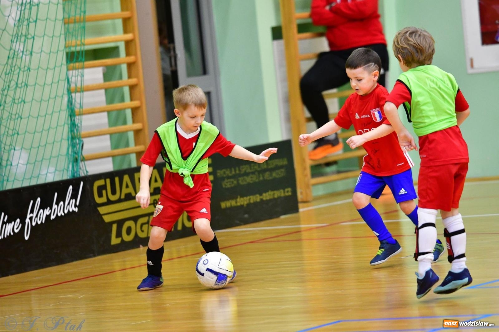 Zdjęcie w galerii na portalu naszwodzislaw.com: Junior Futsal Cup. Zmagania skrzatów z regionu w Raciborzu [FOTO] wiadomości z regionu