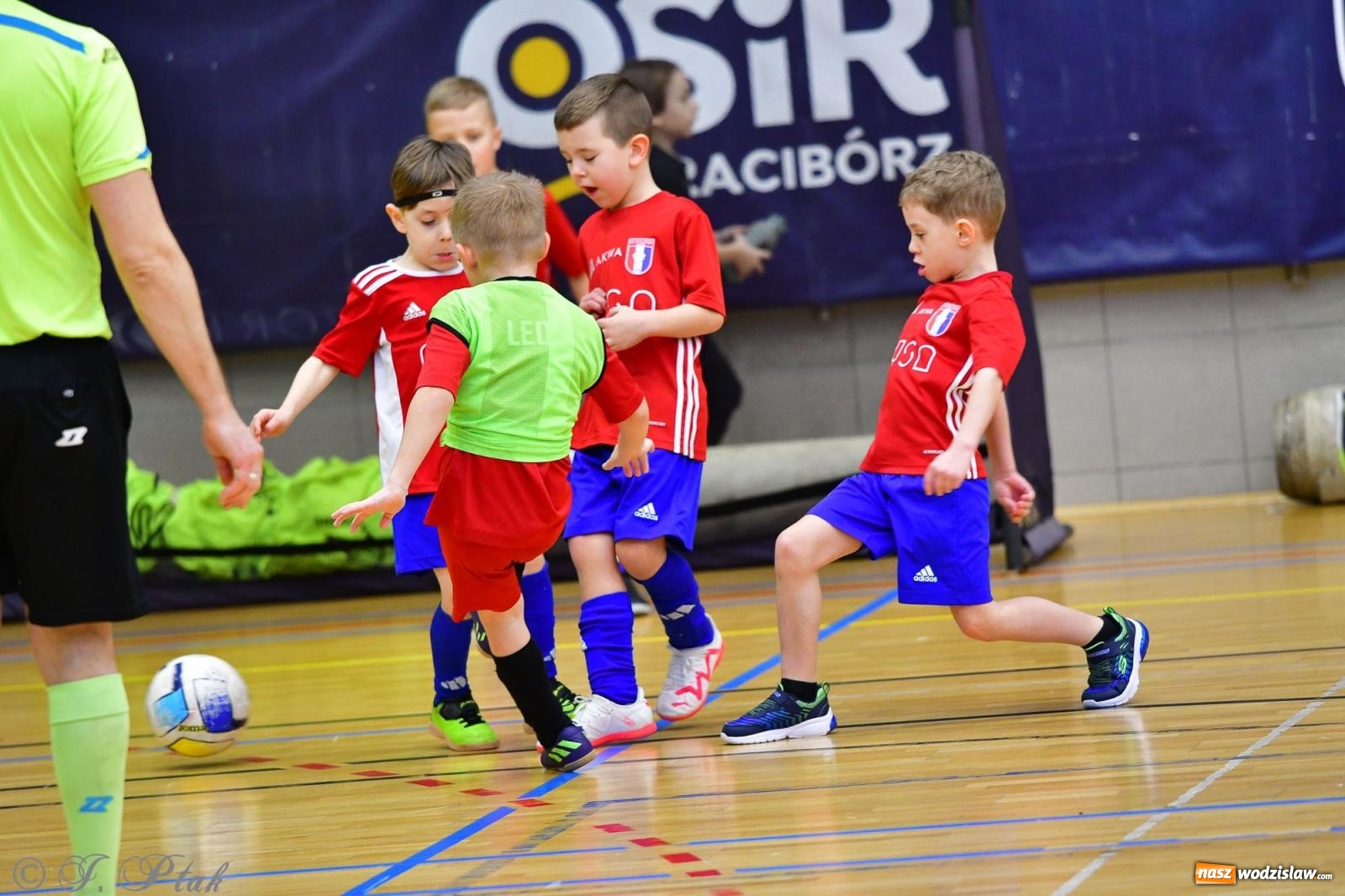 Zdjęcie w galerii na portalu naszwodzislaw.com: Junior Futsal Cup. Zmagania skrzatów z regionu w Raciborzu [FOTO] wiadomości z regionu