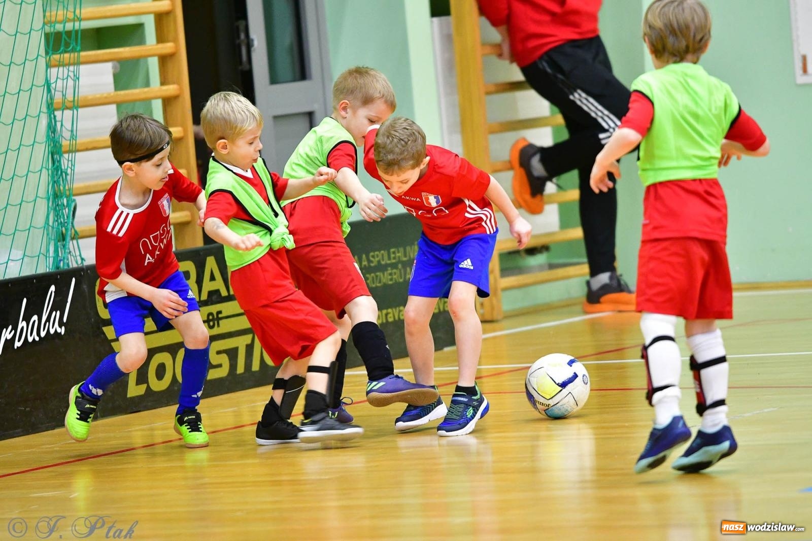 Zdjęcie w galerii na portalu naszwodzislaw.com: Junior Futsal Cup. Zmagania skrzatów z regionu w Raciborzu [FOTO] wiadomości z regionu
