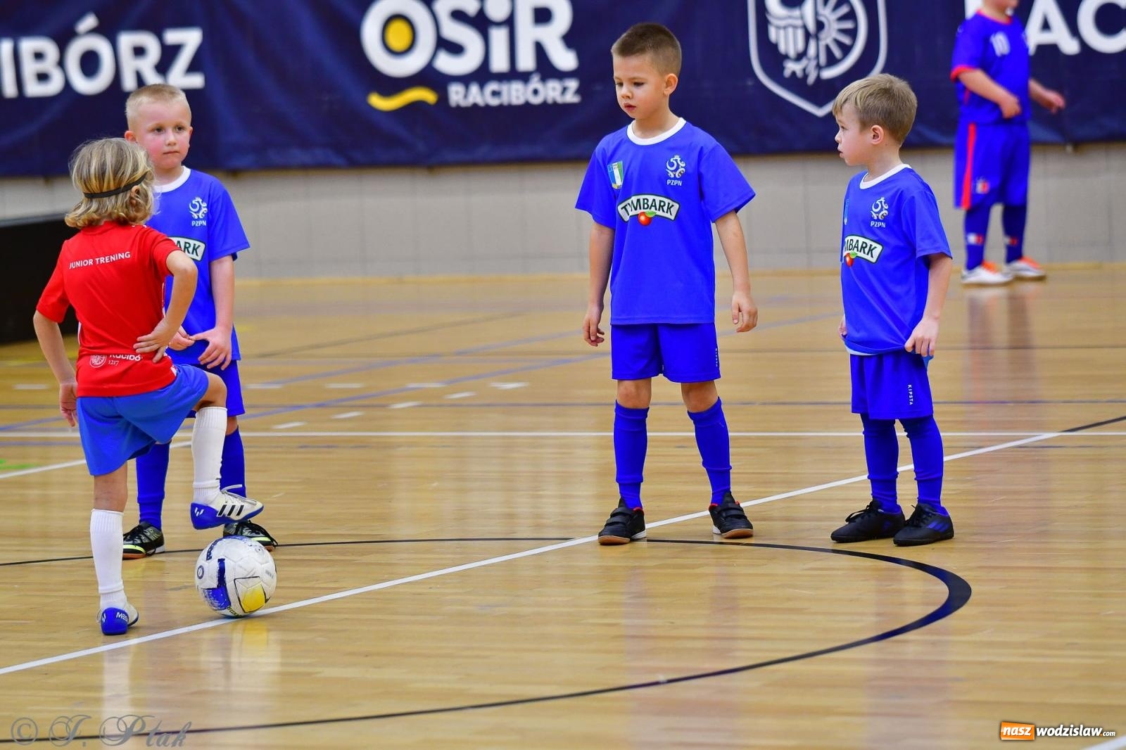 Zdjęcie w galerii na portalu naszwodzislaw.com: Junior Futsal Cup. Zmagania skrzatów z regionu w Raciborzu [FOTO] wiadomości z regionu