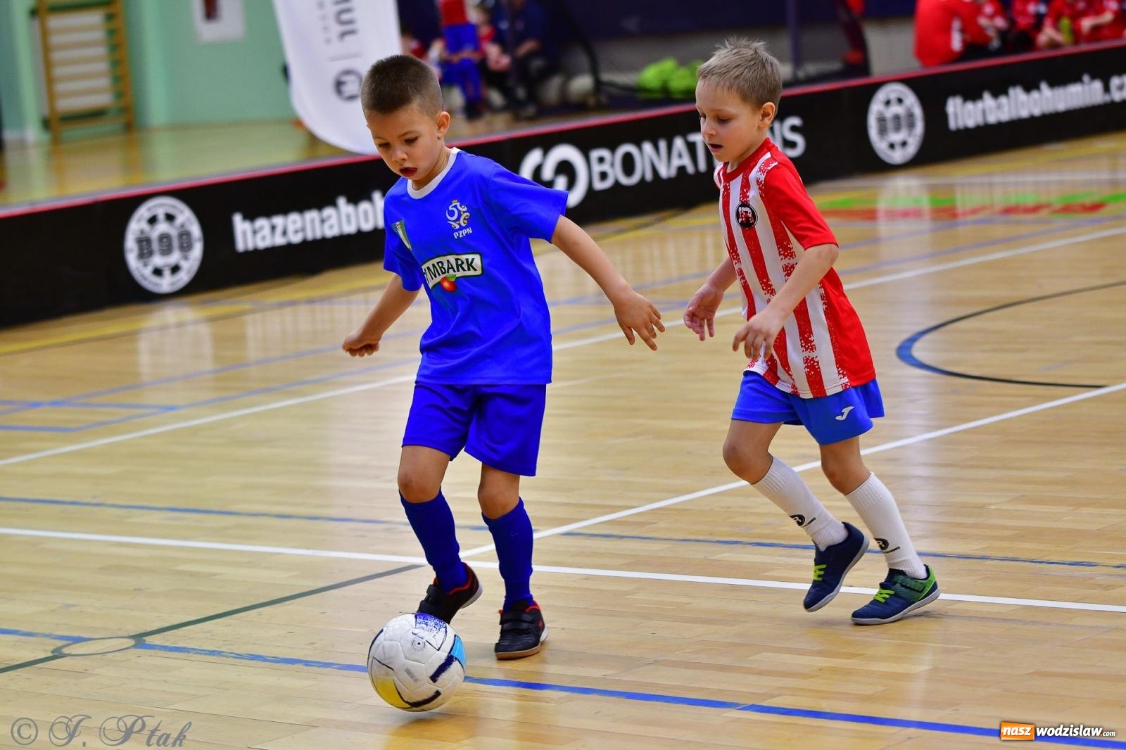 Zdjęcie w galerii na portalu naszwodzislaw.com: Junior Futsal Cup. Zmagania skrzatów z regionu w Raciborzu [FOTO] wiadomości z regionu