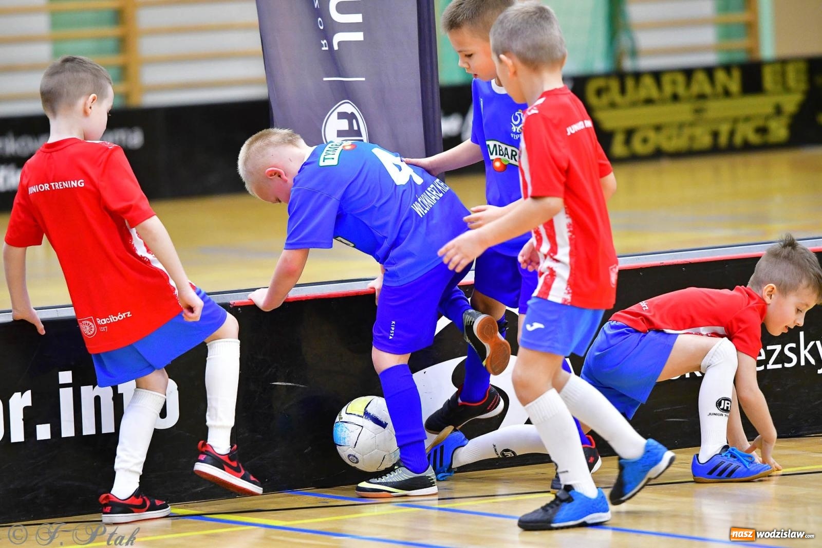 Zdjęcie w galerii na portalu naszwodzislaw.com: Junior Futsal Cup. Zmagania skrzatów z regionu w Raciborzu [FOTO] wiadomości z regionu
