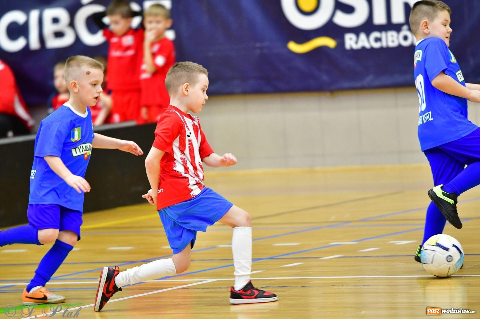 Zdjęcie w galerii na portalu naszwodzislaw.com: Junior Futsal Cup. Zmagania skrzatów z regionu w Raciborzu [FOTO] wiadomości z regionu