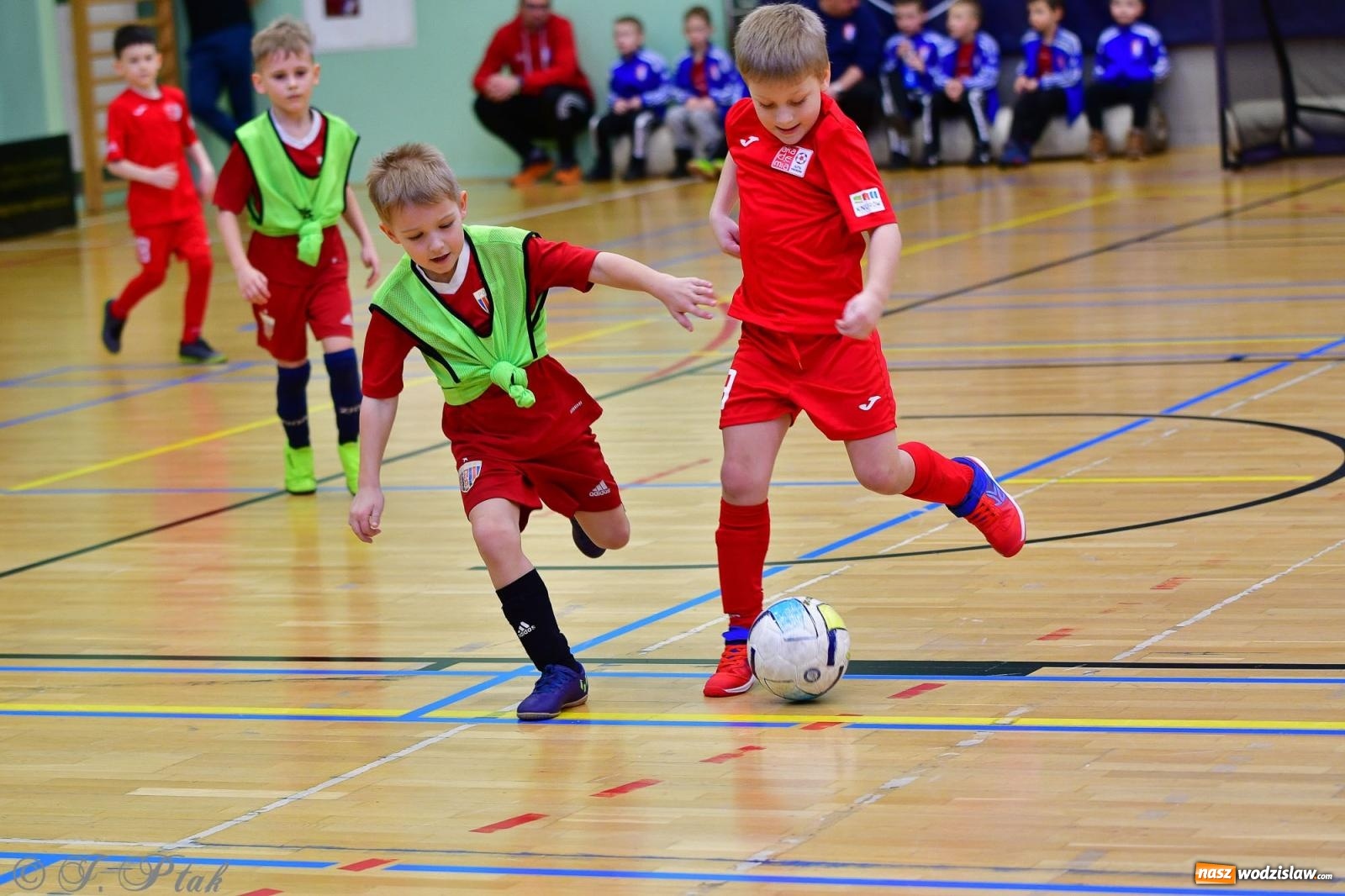 Zdjęcie w galerii na portalu naszwodzislaw.com: Junior Futsal Cup. Zmagania skrzatów z regionu w Raciborzu [FOTO] wiadomości z regionu