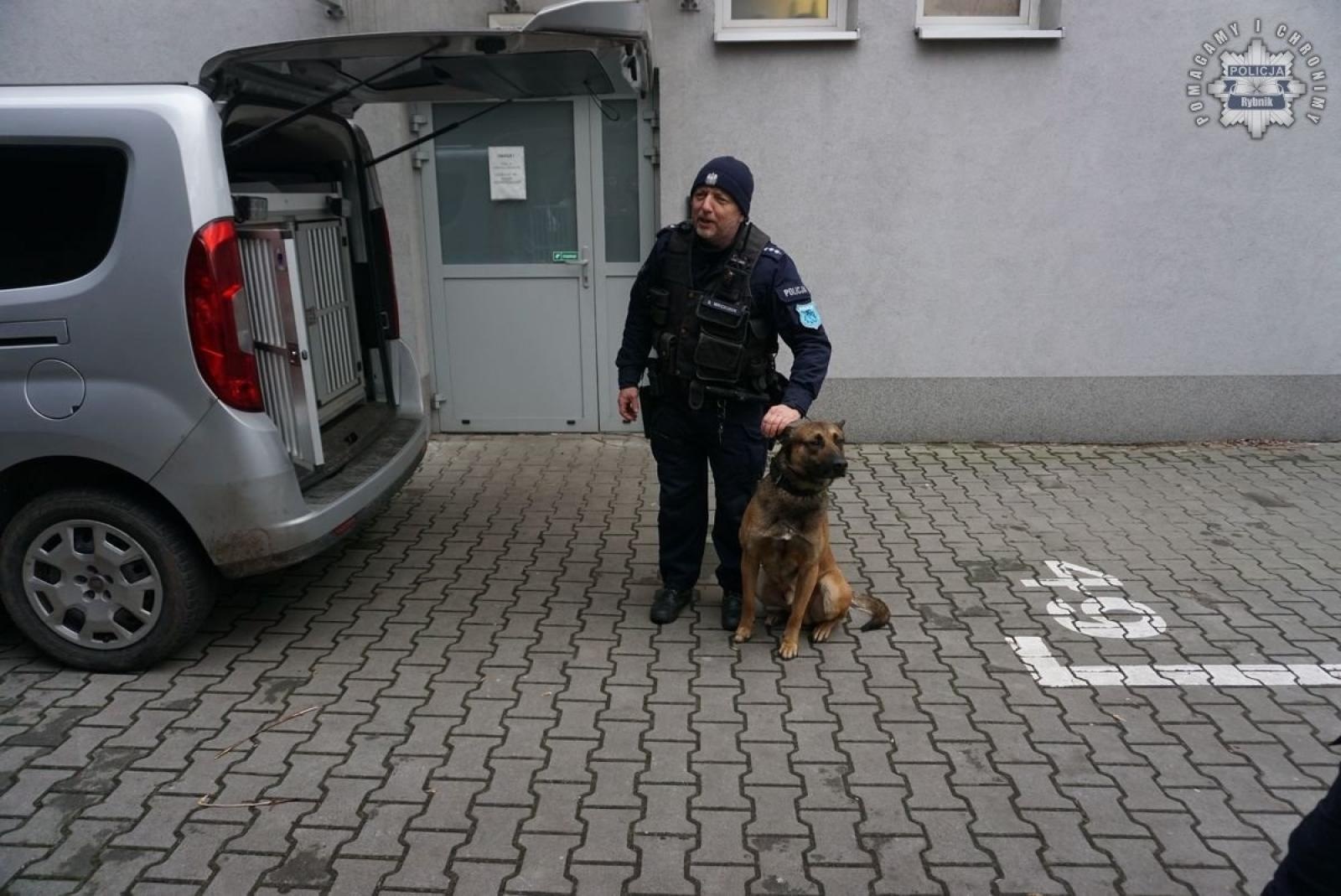 Zdjęcie w galerii na portalu naszwodzislaw.com: Studenci filologii z Raciborza na warsztatach tłumaczeniowych w rybnickiej komendzie wiadomości z regionu