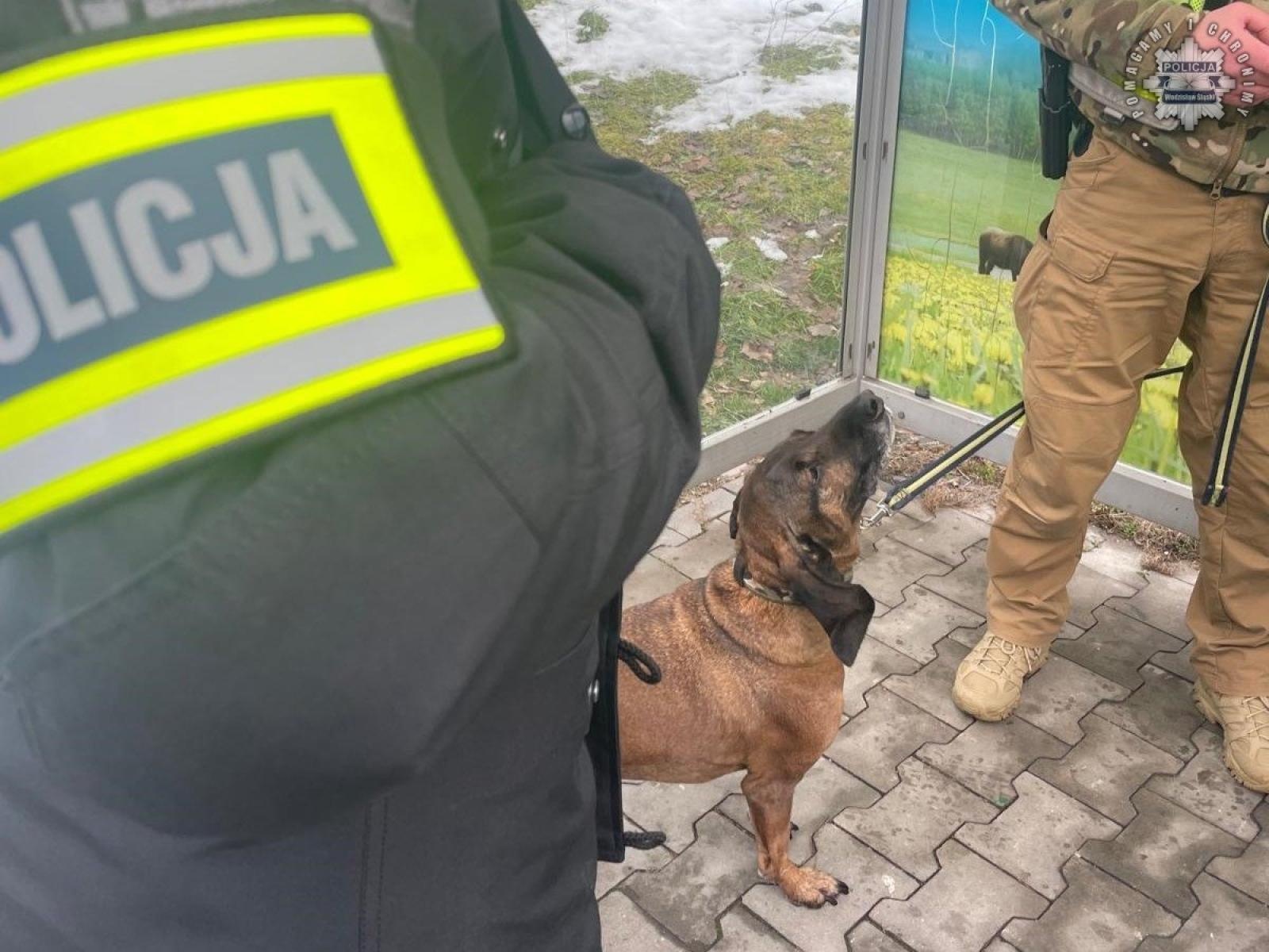 Zdjęcie w galerii na portalu naszwodzislaw.com: Policjanci zakończyli poszukiwania zaginionego. Odnaleziono ciało mieszkańca Skrzyszowa wiadomości z regionu