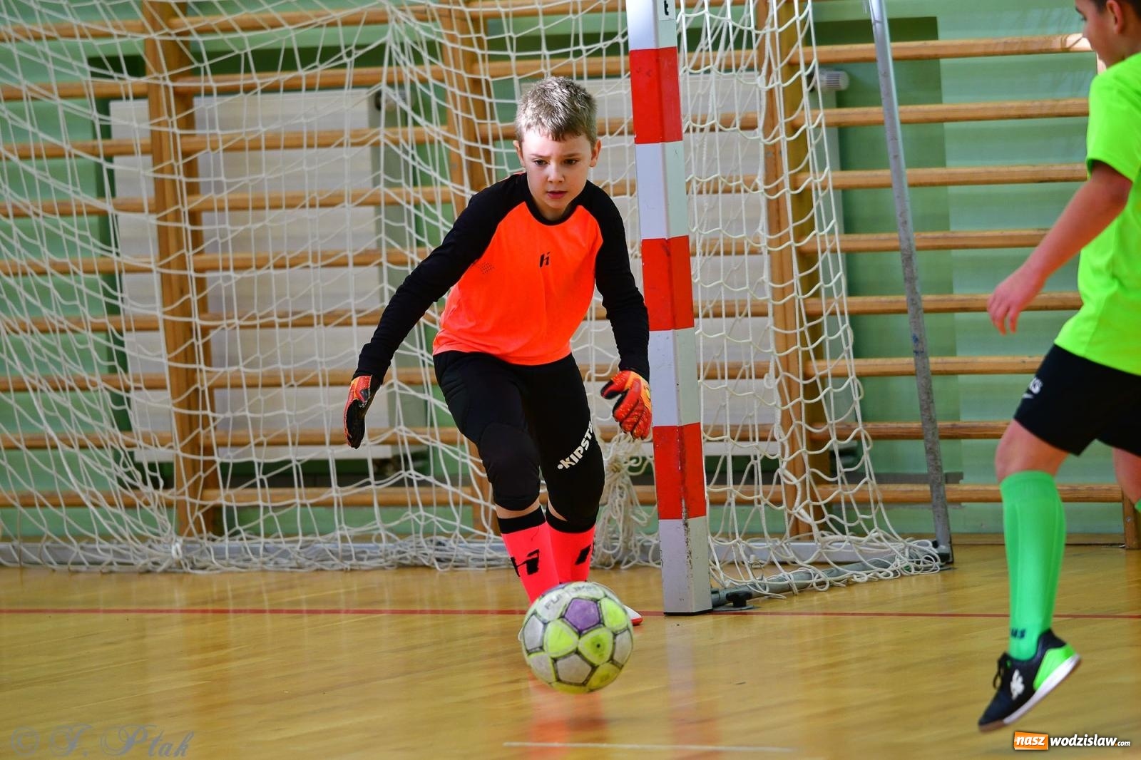 Zdjęcie w galerii na portalu naszwodzislaw.com: Piłkarska rywalizacja rocznika 2016. Kolejny turniej fundacji Junior Trening [FOTO] wiadomości z regionu