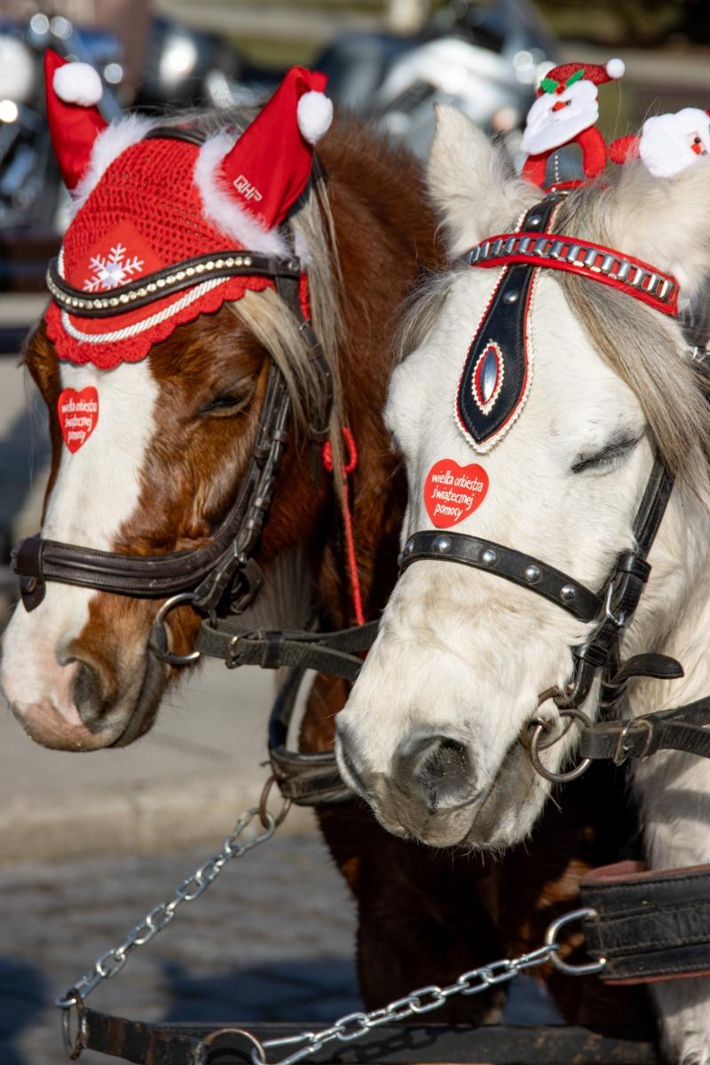 Zdjęcie w galerii na portalu naszwodzislaw.com: 33. Finał WOŚP. Ile zabrano w Wodzisławiu Ślaskim? wiadomości z regionu