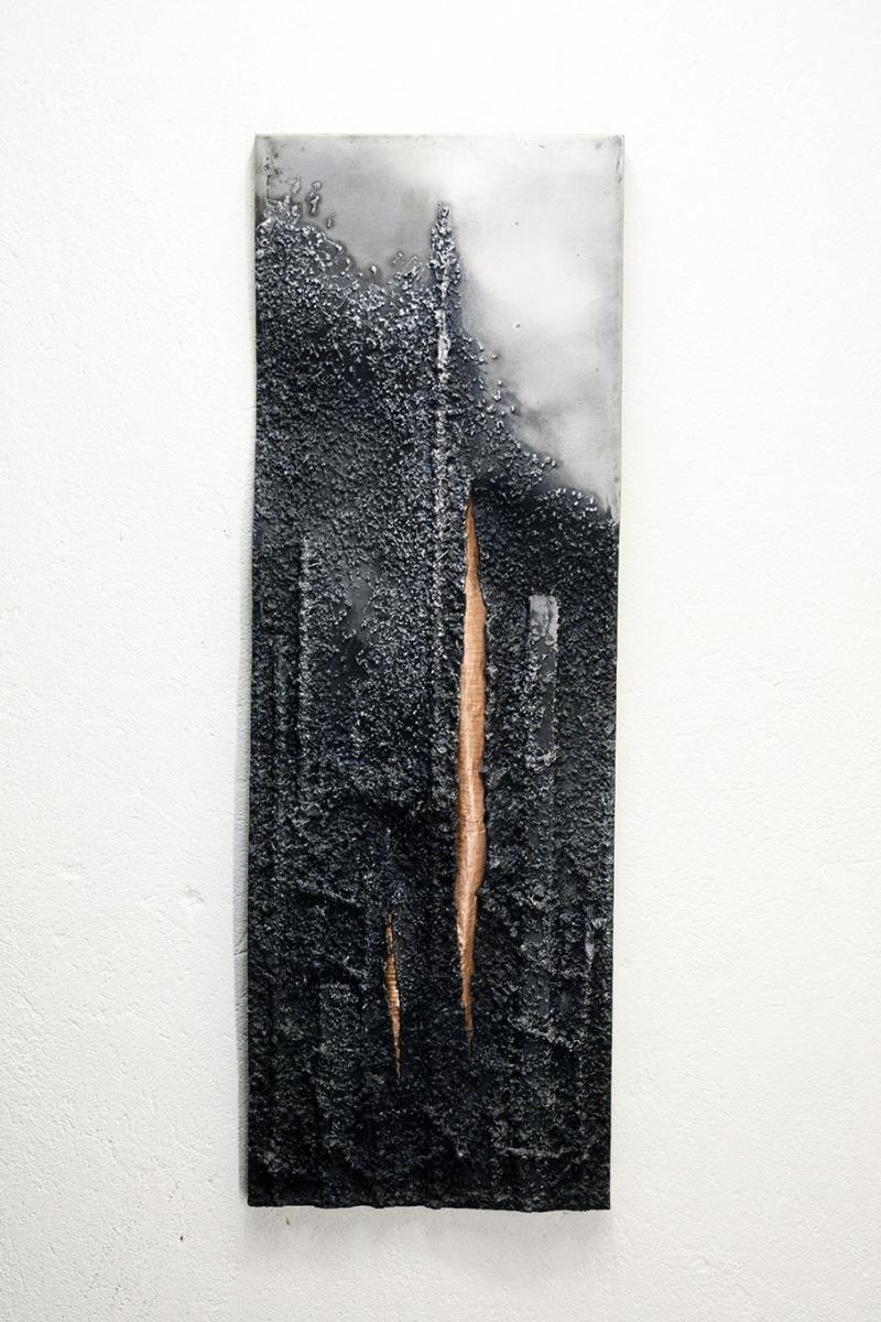 Zdjęcie w galerii na portalu naszwodzislaw.com: Wernisaż pełen blasku. Wystawa Dawida Klona w Pałacu Dietrichsteinów wiadomości z regionu