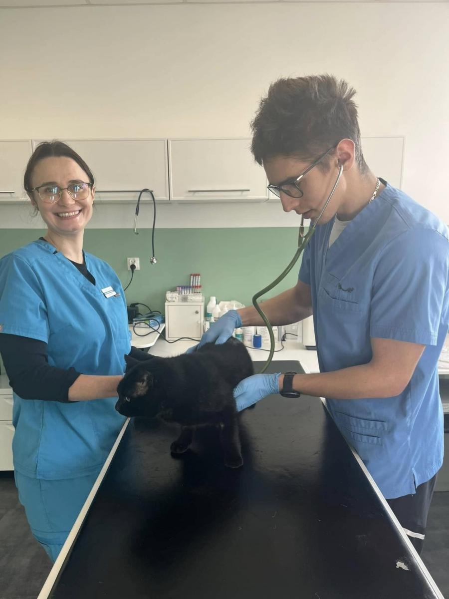 Zdjęcie w galerii na portalu naszwodzislaw.com: Zawodowe debiuty. Uczestnicy programu odbyli praktyki wiadomości z regionu