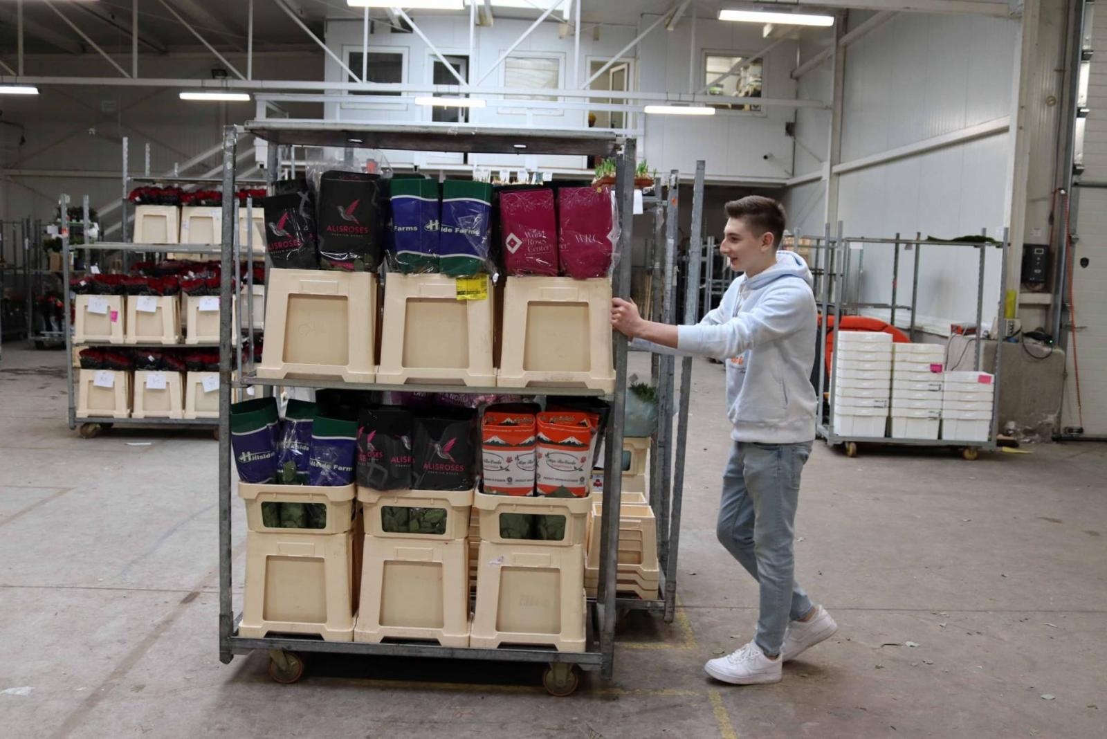 Zdjęcie w galerii na portalu naszwodzislaw.com: Zawodowe debiuty. Uczestnicy programu odbyli praktyki wiadomości z regionu