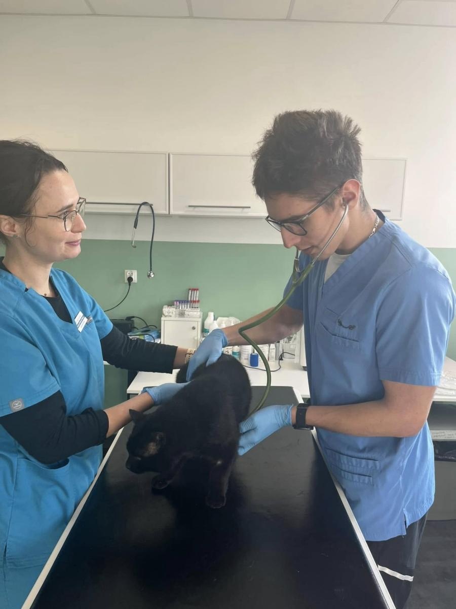 Zdjęcie w galerii na portalu naszwodzislaw.com: Zawodowy Debiut - 126 uczniów na drodze do kariery zawodowej wiadomości z regionu