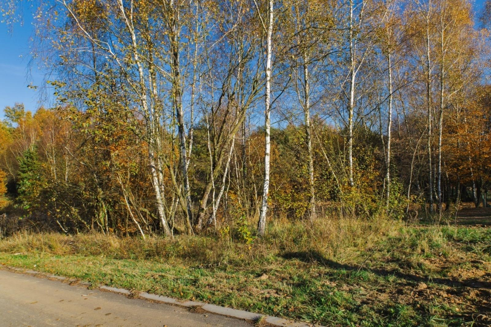 Zdjęcie w galerii na portalu naszwodzislaw.com: Działka na ulicy Głożyńskiej na sprzedaż wiadomości z regionu