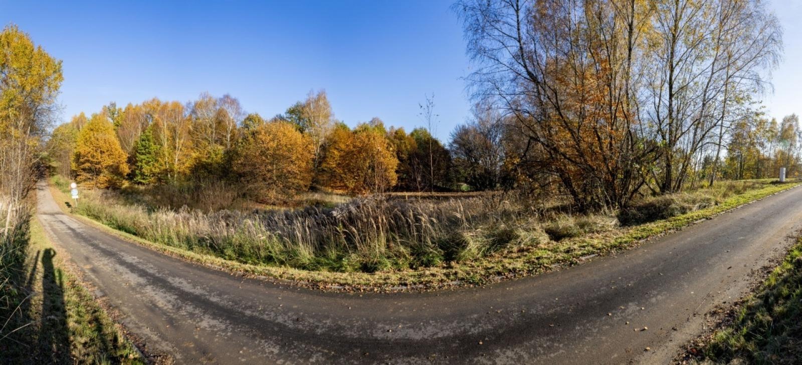 Zdjęcie w galerii na portalu naszwodzislaw.com: Działka na ulicy Głożyńskiej na sprzedaż wiadomości z regionu