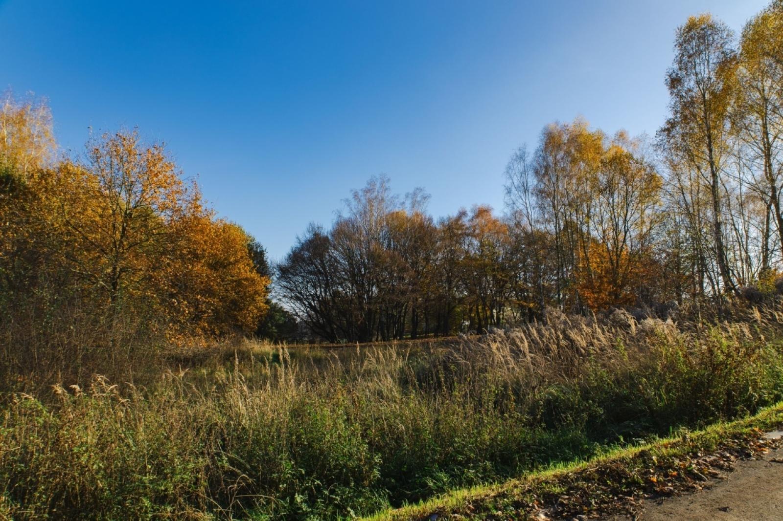 Zdjęcie w galerii na portalu naszwodzislaw.com: Działka na ulicy Głożyńskiej na sprzedaż wiadomości z regionu