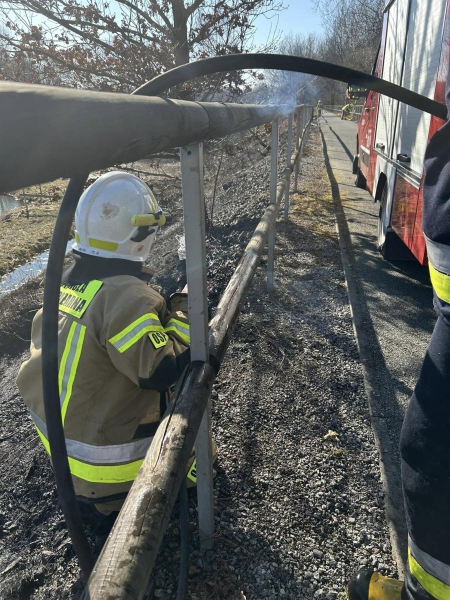 Zdjęcie w galerii na portalu naszwodzislaw.com: Uszkodzenia na Żelaznym Szlaku. Wszystko przed podpalenie trawy wiadomości z regionu