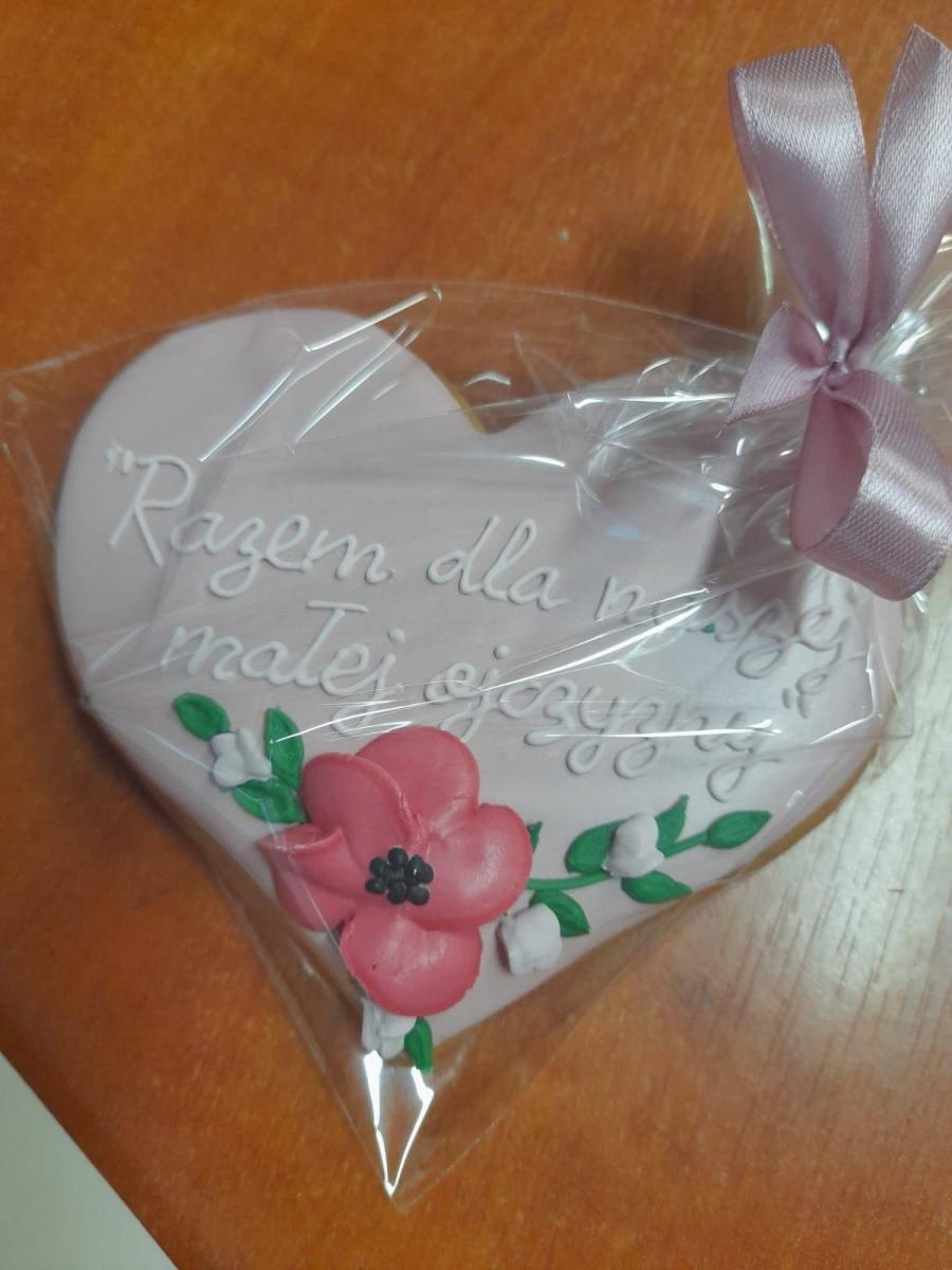 Zdjęcie w galerii na portalu naszwodzislaw.com: Razem dla małej ojczyzny. Podsumowanie projektu wiadomości z regionu