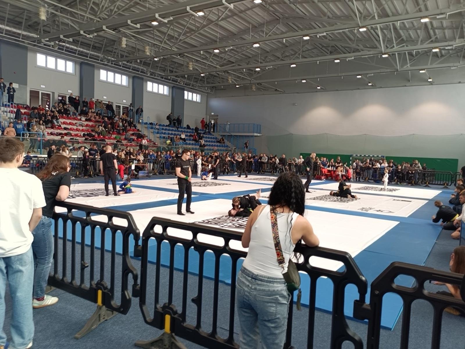 Zdjęcie w galerii na portalu naszwodzislaw.com: 22 medale dla KS STEIN ACADEMY na Copa Silesia wiadomości z regionu