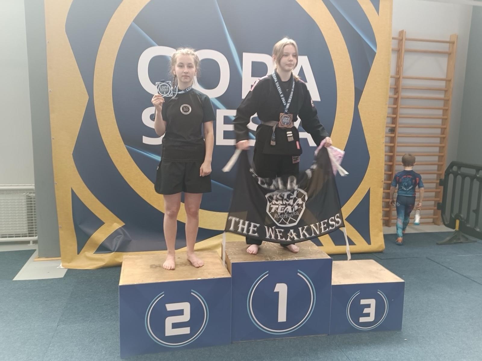 Zdjęcie w galerii na portalu naszwodzislaw.com: 22 medale dla KS STEIN ACADEMY na Copa Silesia wiadomości z regionu