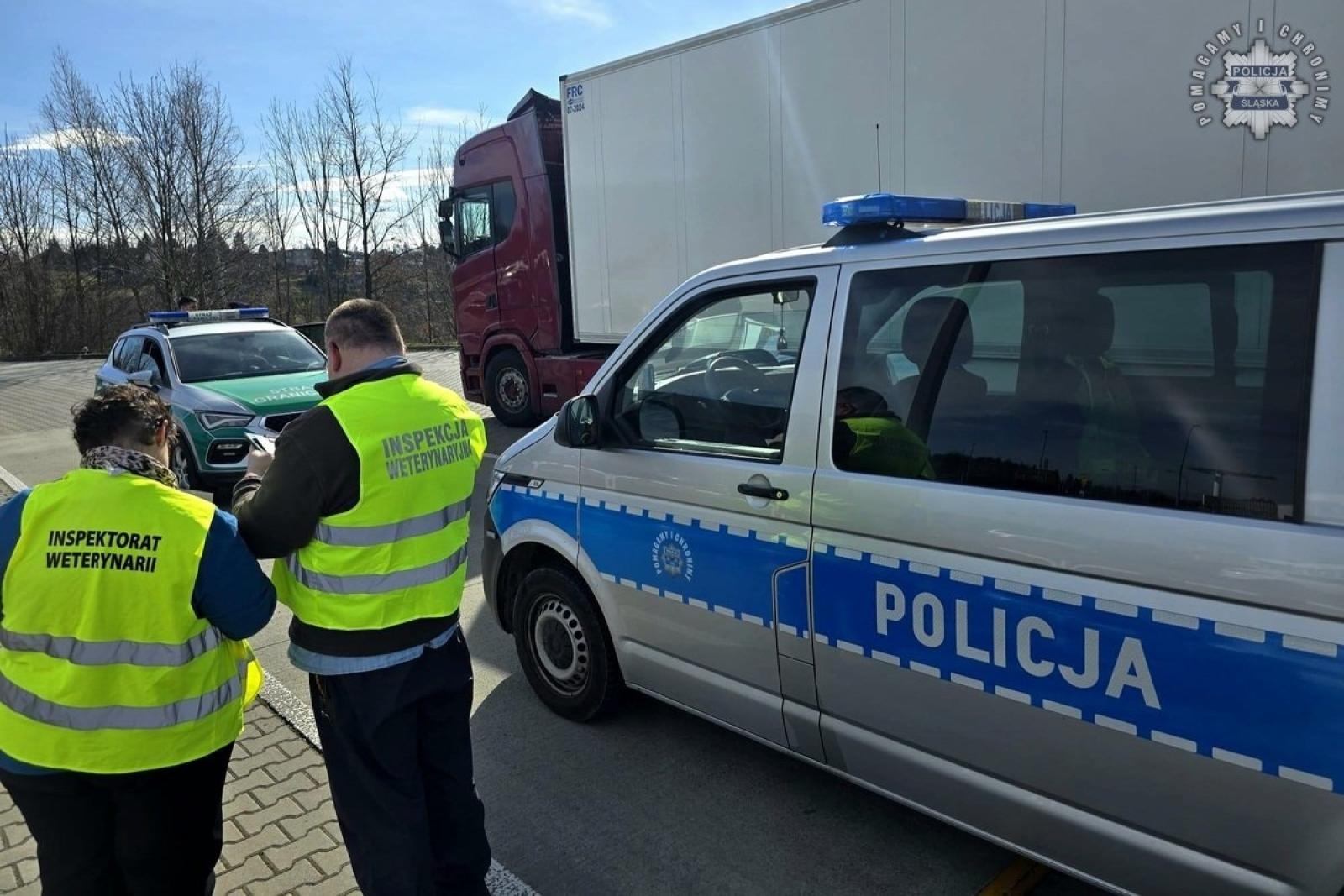 Zdjęcie w galerii na portalu naszwodzislaw.com: Śląska Policja kontroluje pojazdy w związku z epidemią pryszczycy wiadomości z regionu