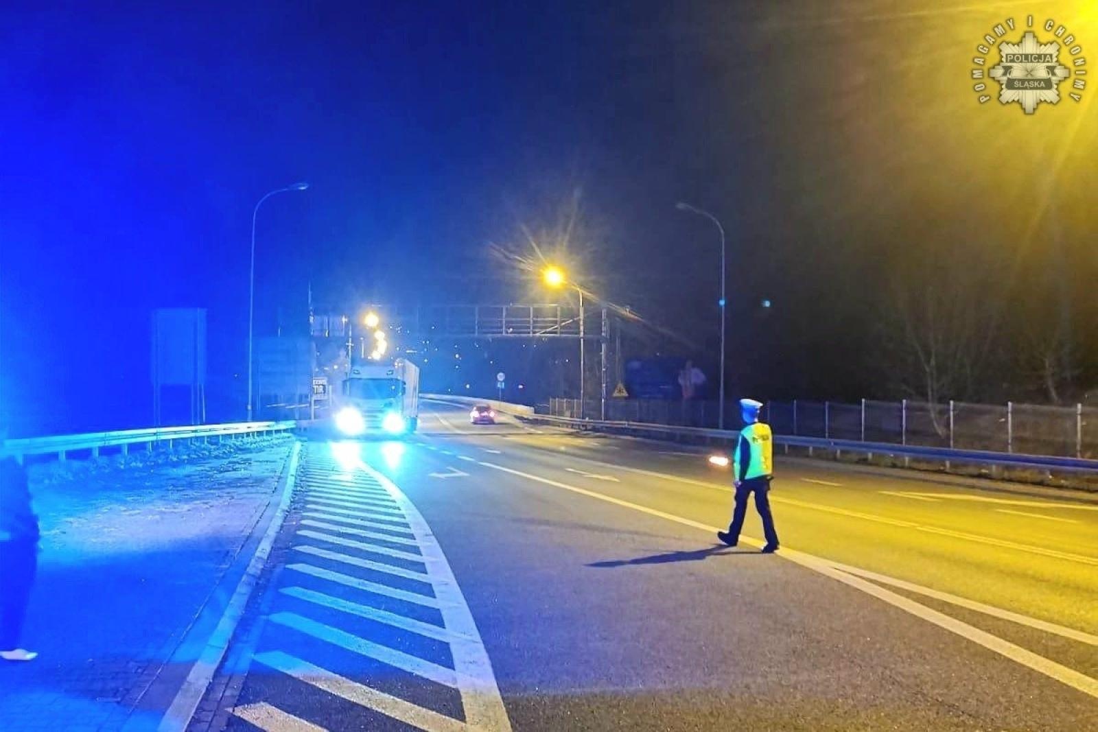 Zdjęcie w galerii na portalu naszwodzislaw.com: Śląska Policja kontroluje pojazdy w związku z epidemią pryszczycy wiadomości z regionu