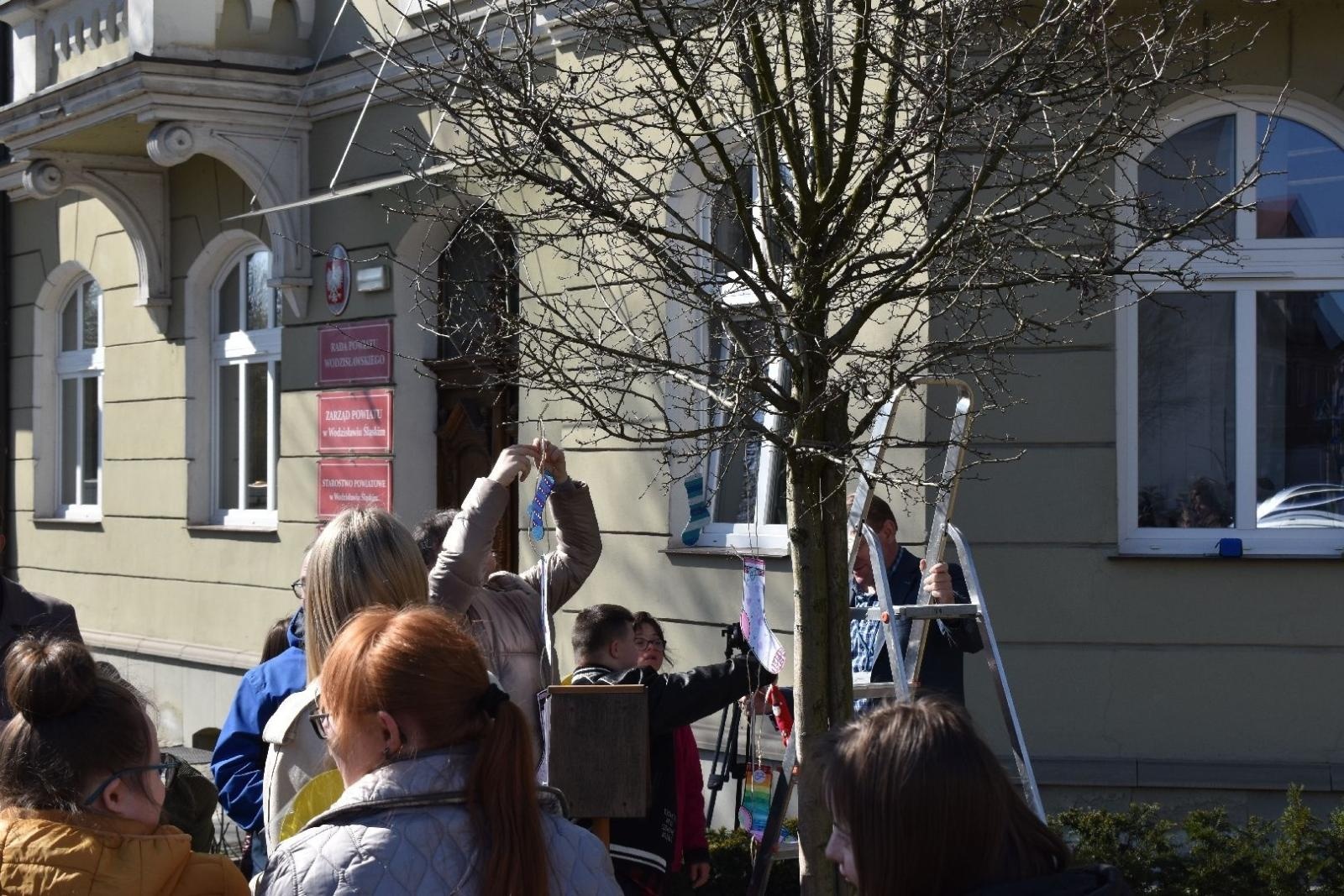 Zdjęcie w galerii na portalu naszwodzislaw.com: Dzień Zespołu Downa w starostwie [FOTO] wiadomości z regionu