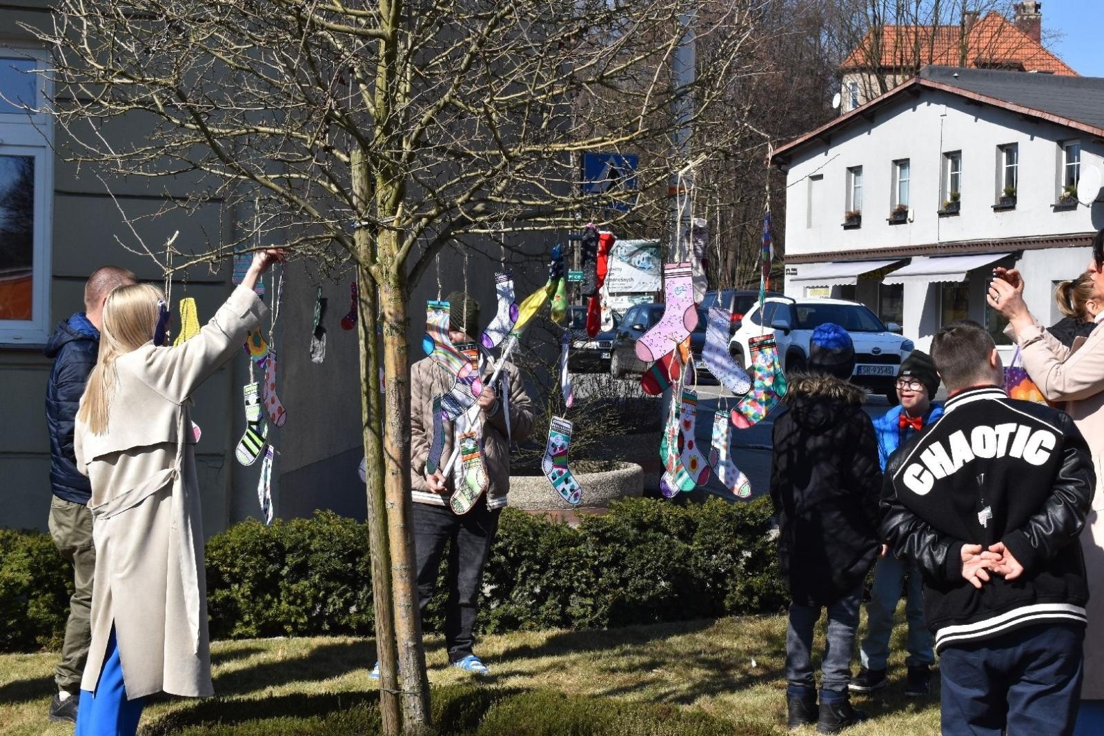 Zdjęcie w galerii na portalu naszwodzislaw.com: Dzień Zespołu Downa w starostwie [FOTO] wiadomości z regionu