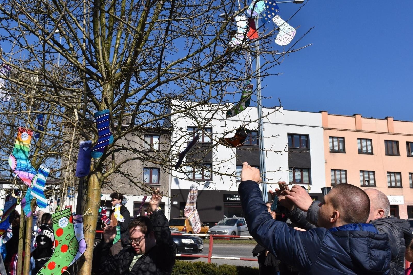 Zdjęcie w galerii na portalu naszwodzislaw.com: Dzień Zespołu Downa w starostwie [FOTO] wiadomości z regionu
