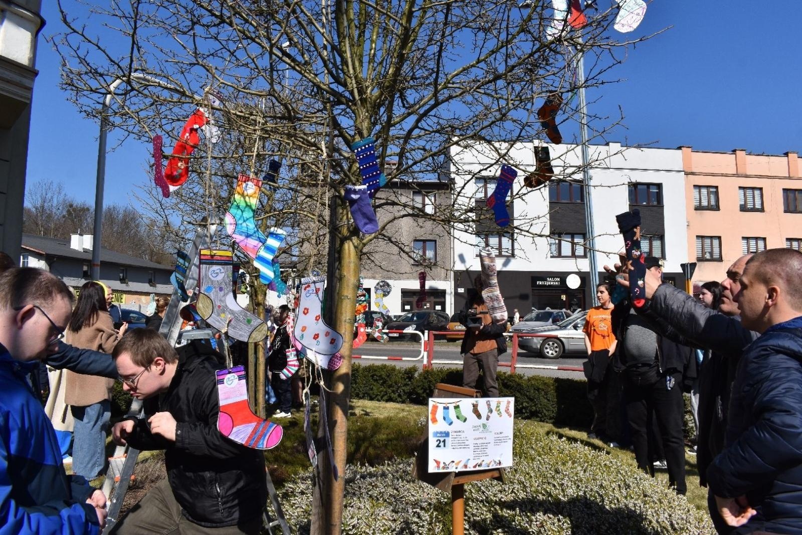 Zdjęcie w galerii na portalu naszwodzislaw.com: Dzień Zespołu Downa w starostwie [FOTO] wiadomości z regionu