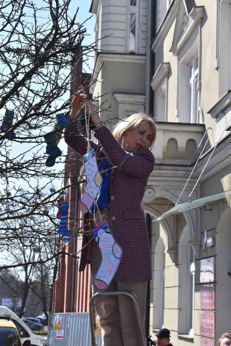Zdjęcie w galerii na portalu naszwodzislaw.com: Dzień Zespołu Downa w starostwie [FOTO] wiadomości z regionu