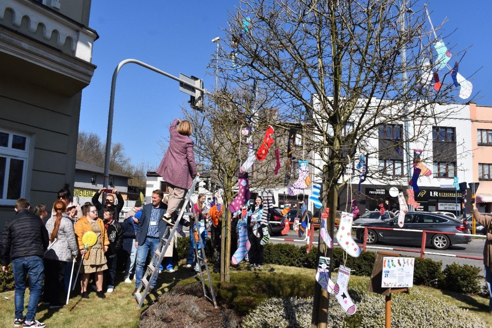 Zdjęcie w galerii na portalu naszwodzislaw.com: Dzień Zespołu Downa w starostwie [FOTO] wiadomości z regionu