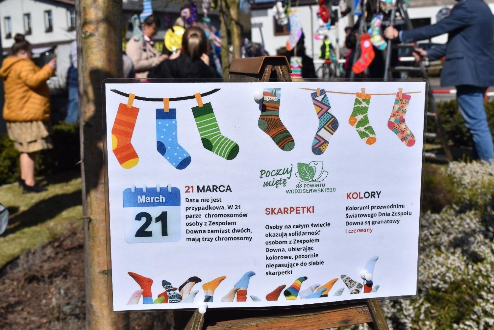 Zdjęcie w galerii na portalu naszwodzislaw.com: Dzień Zespołu Downa w starostwie [FOTO] wiadomości z regionu