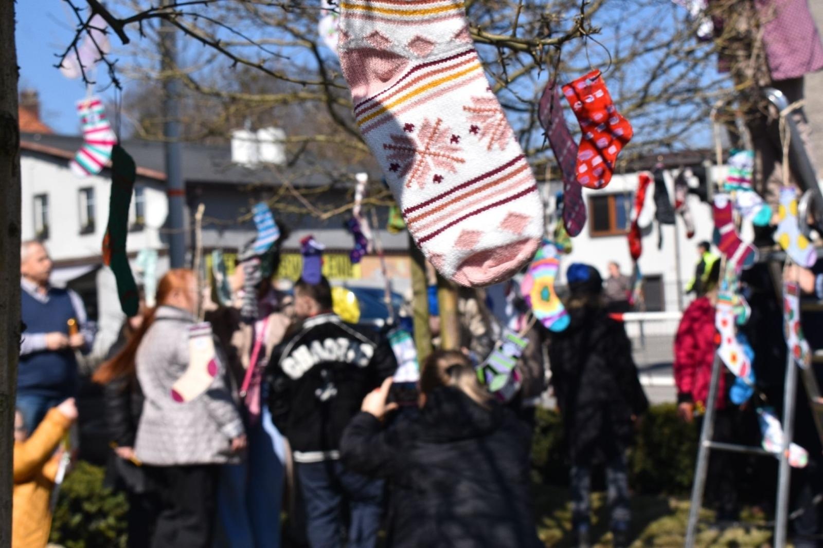 Zdjęcie w galerii na portalu naszwodzislaw.com: Dzień Zespołu Downa w starostwie [FOTO] wiadomości z regionu