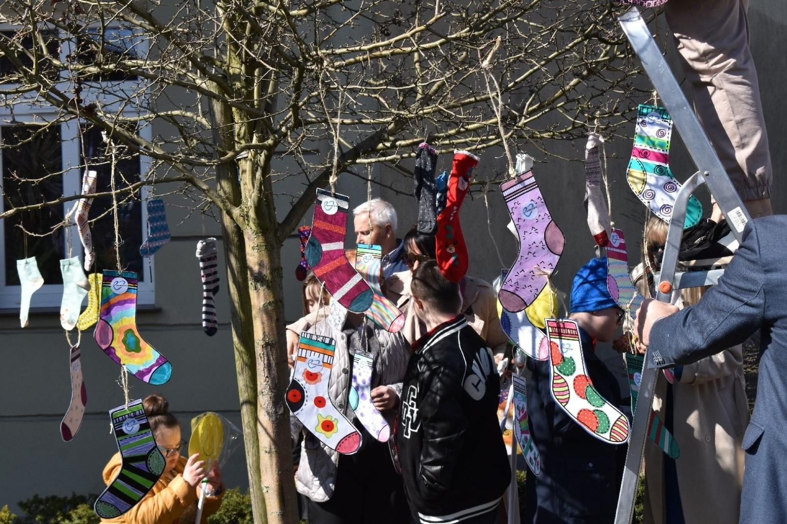 Zdjęcie w galerii na portalu naszwodzislaw.com: Dzień Zespołu Downa w starostwie [FOTO] wiadomości z regionu
