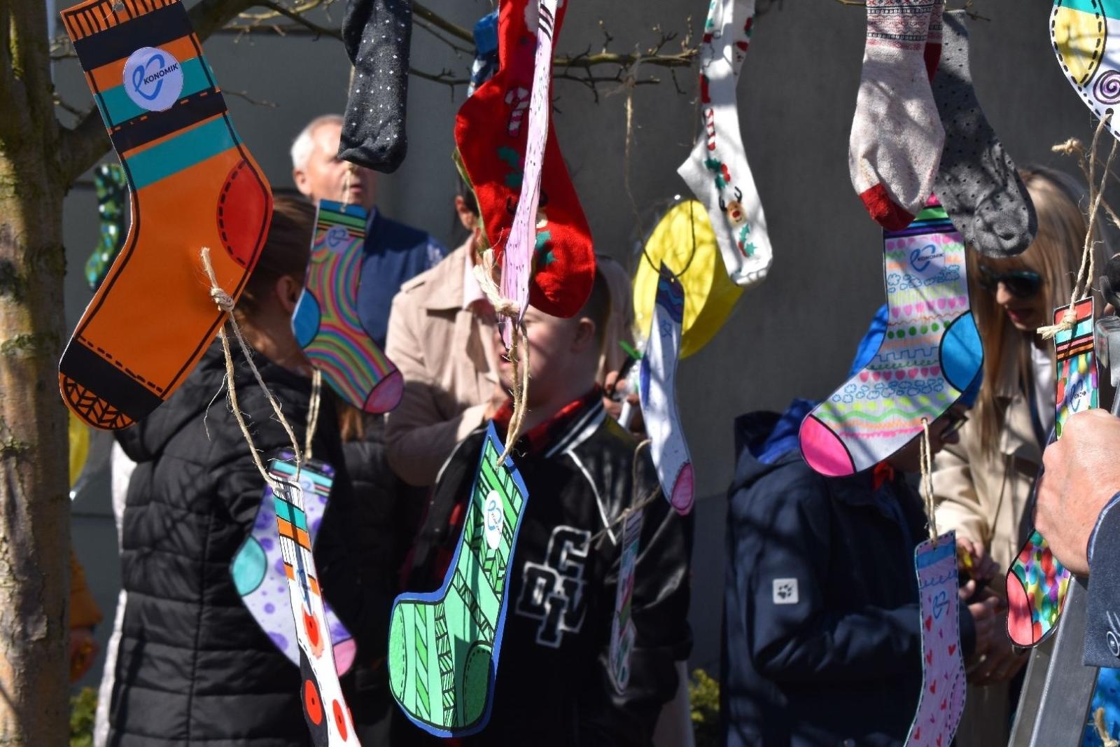 Zdjęcie w galerii na portalu naszwodzislaw.com: Dzień Zespołu Downa w starostwie [FOTO] wiadomości z regionu