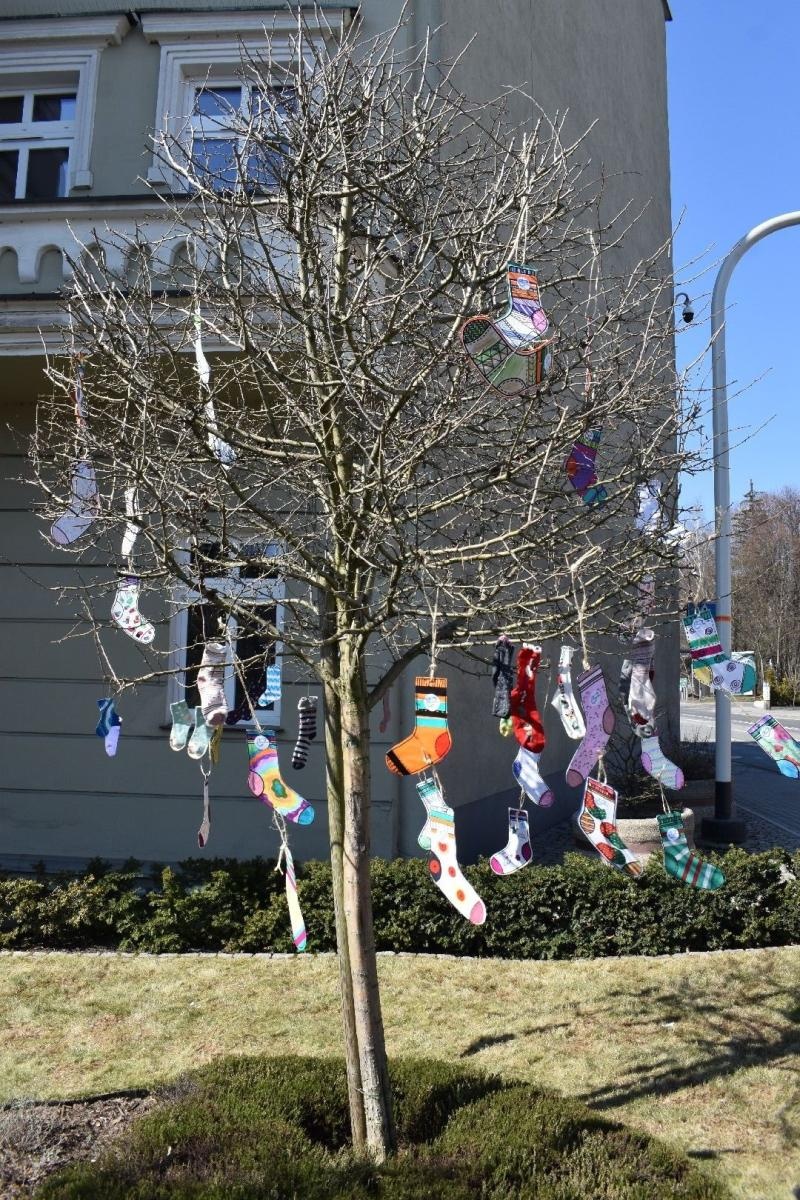 Zdjęcie w galerii na portalu naszwodzislaw.com: Dzień Zespołu Downa w starostwie [FOTO] wiadomości z regionu