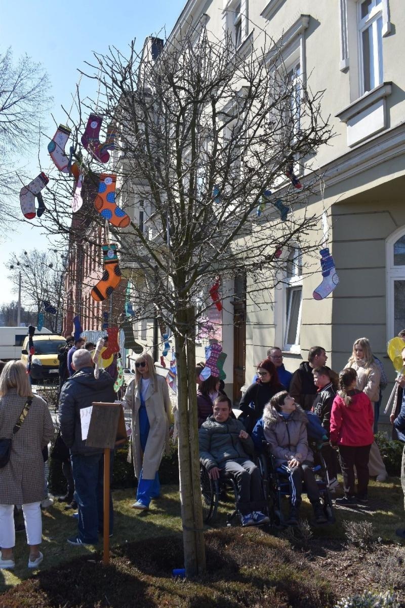 Zdjęcie w galerii na portalu naszwodzislaw.com: Dzień Zespołu Downa w starostwie [FOTO] wiadomości z regionu