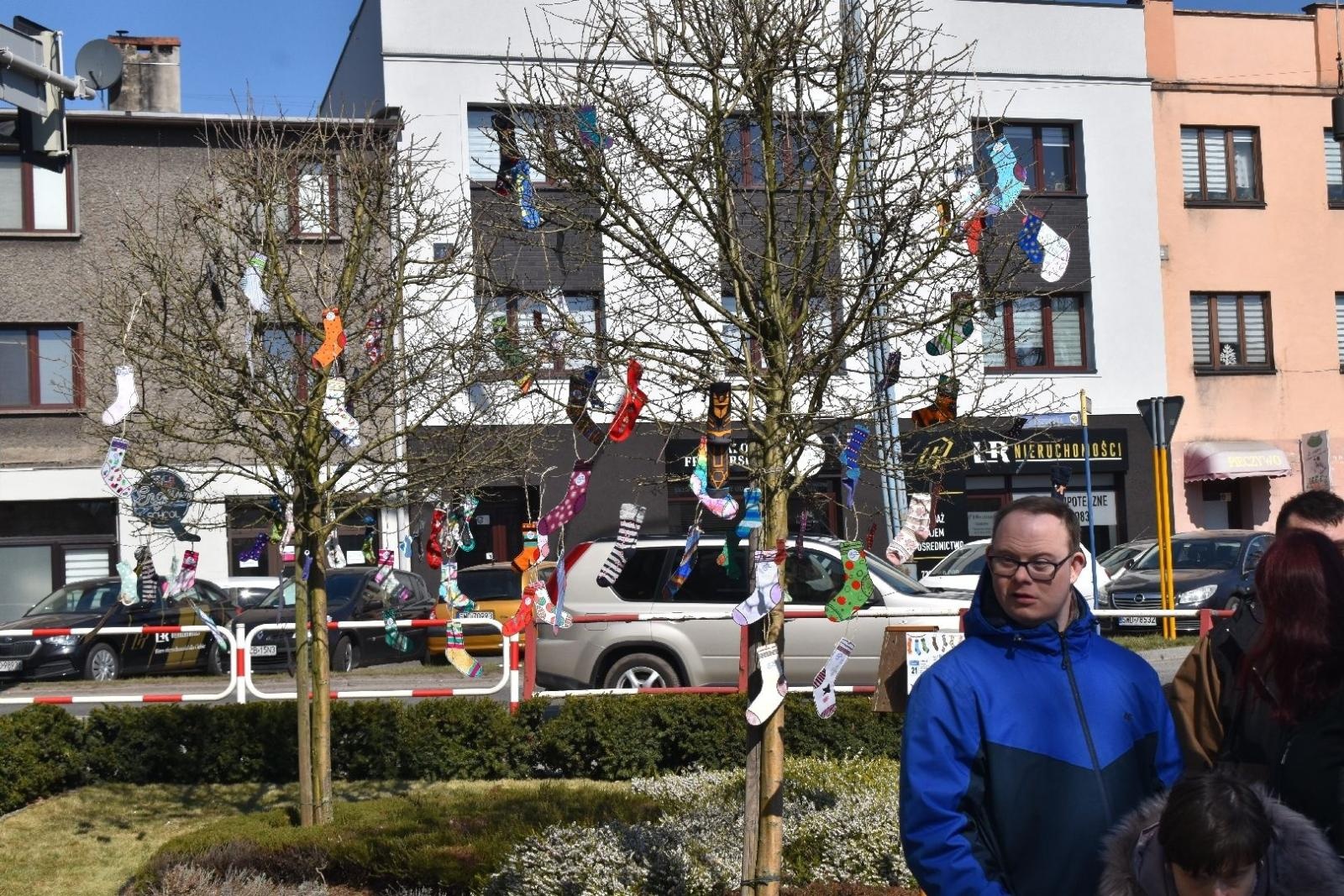 Zdjęcie w galerii na portalu naszwodzislaw.com: Dzień Zespołu Downa w starostwie [FOTO] wiadomości z regionu